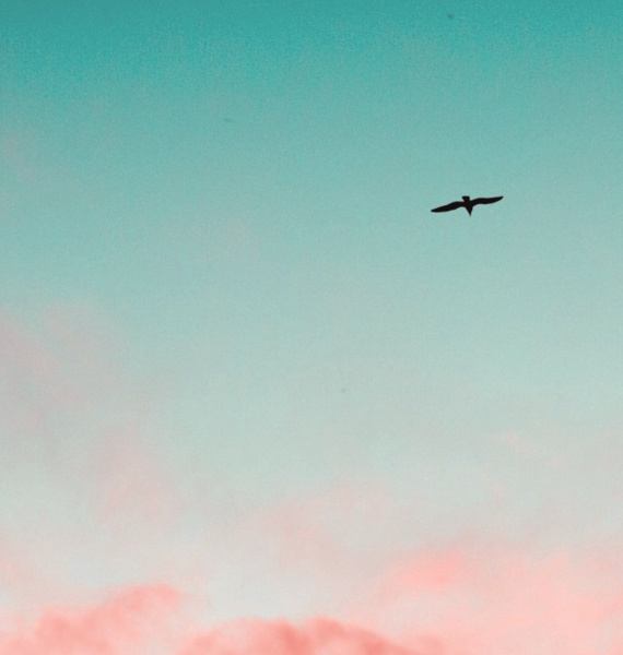 ZIV-TICA je tvrtka u 100% privatnom vlasništvu